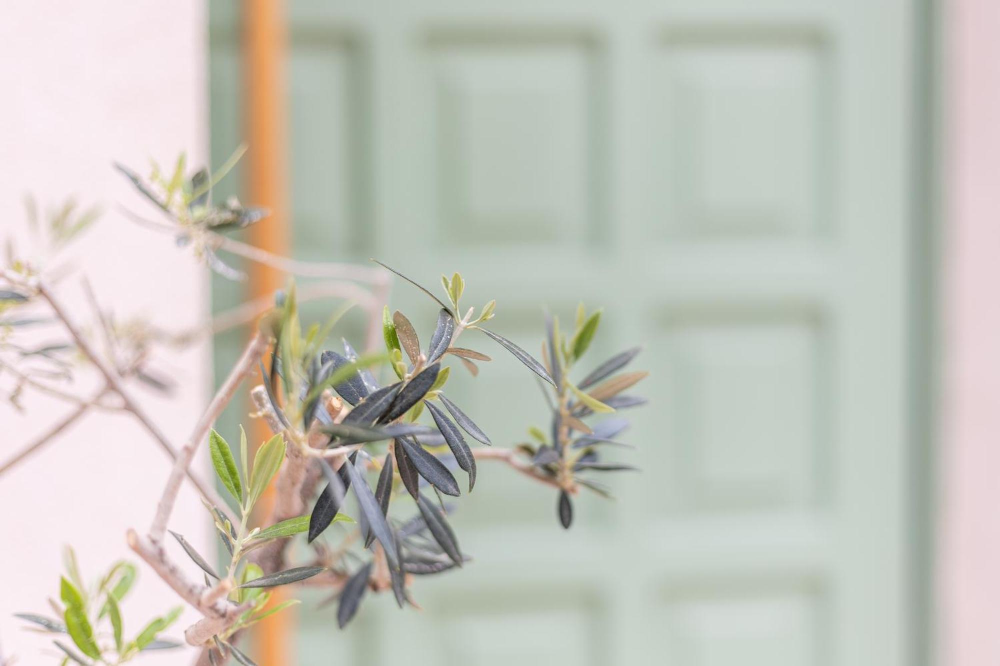 Erofili Traditional House Hanya Dış mekan fotoğraf